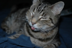 DSC_1012